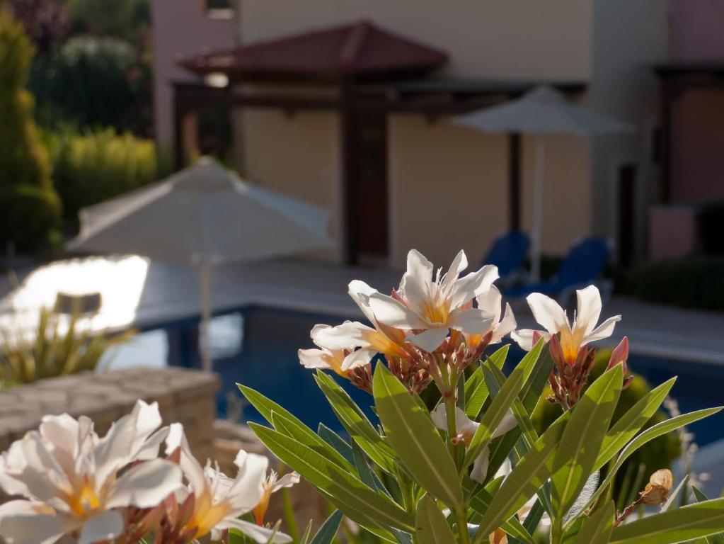 Eligia Villas Mixórrouma Rom bilde
